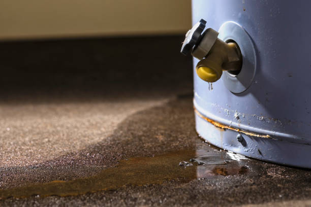 Best Water damage contractors near me  in Hazelwood, MO