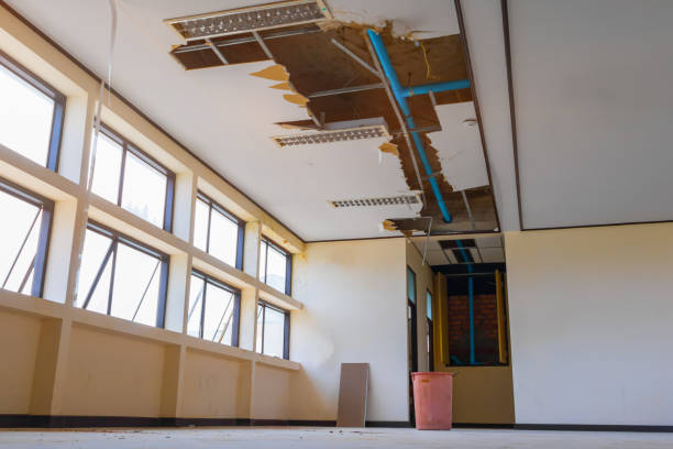 Best Professional water damage repair  in Hazelwood, MO