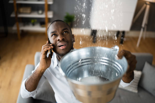 Best Local water damage restoration  in Hazelwood, MO