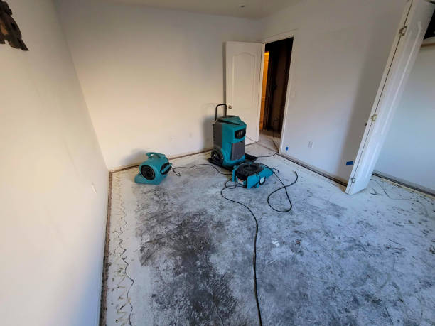 Best Basement water damage restoration  in Hazelwood, MO