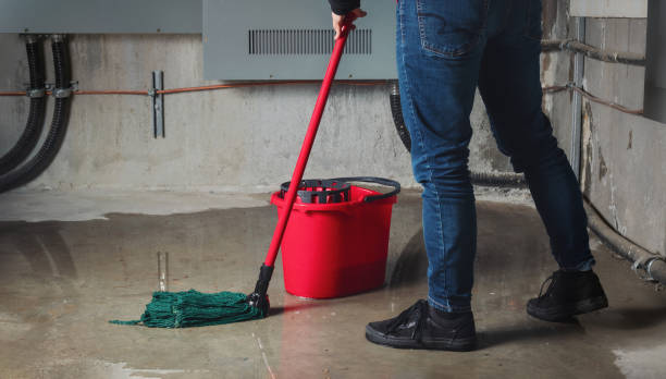Professional Water damage restoration in Hazelwood, MO
