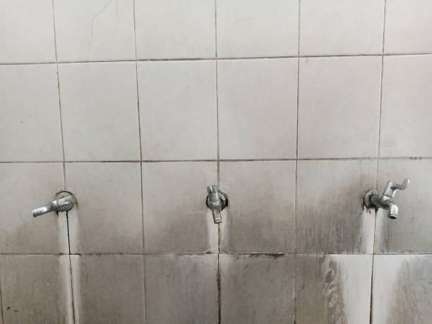 Best Flooded house restoration  in Hazelwood, MO