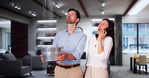 Best Flood restoration services  in Hazelwood, MO
