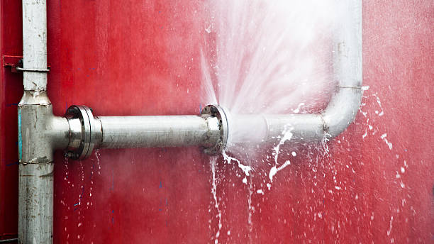 Best Water damage contractors near me  in Hazelwood, MO