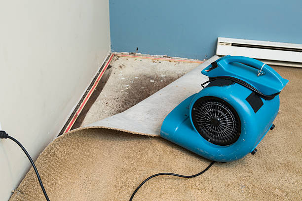  Hazelwood, MO Water damage restoration Pros